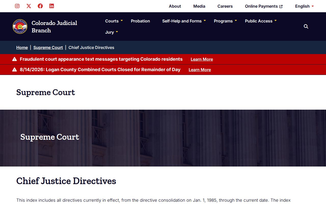 Lake County court docket access and fee directive index